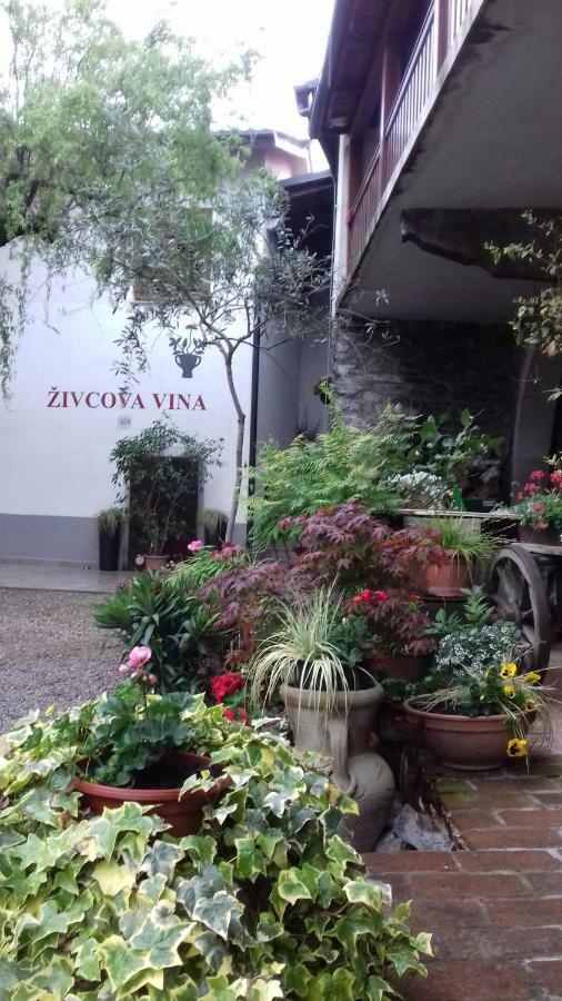 Apartmaji Pri Zivcovih Dutovlje Kültér fotó