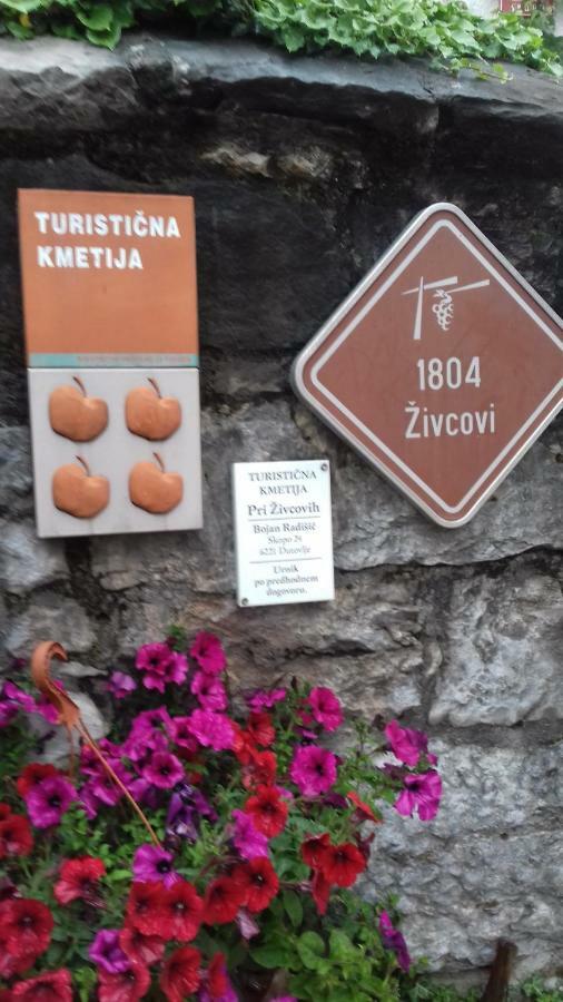 Apartmaji Pri Zivcovih Dutovlje Kültér fotó