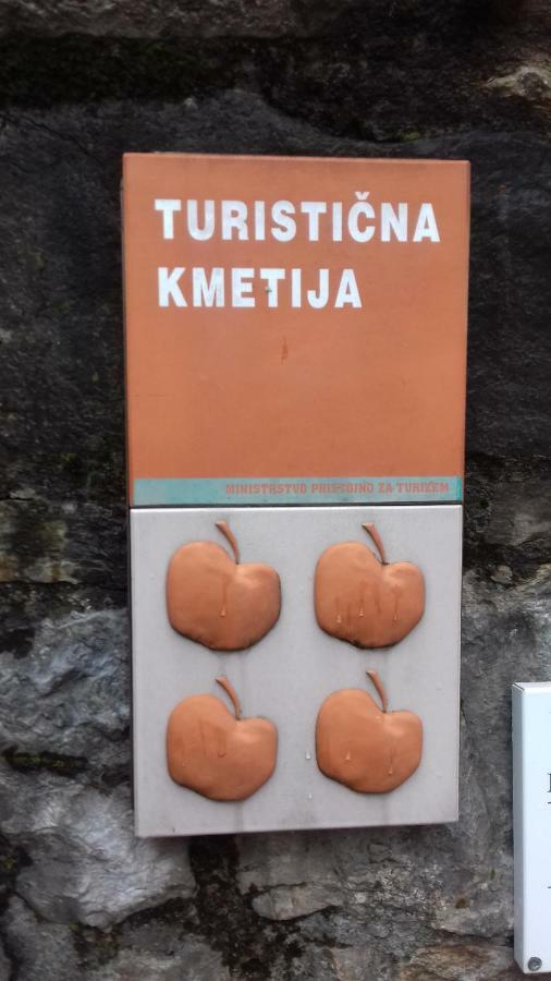 Apartmaji Pri Zivcovih Dutovlje Kültér fotó